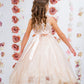 Dress - Lace Appliqué Illusion Bateau Dress